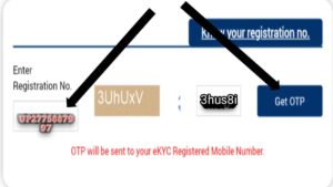 Registration Number Se Status